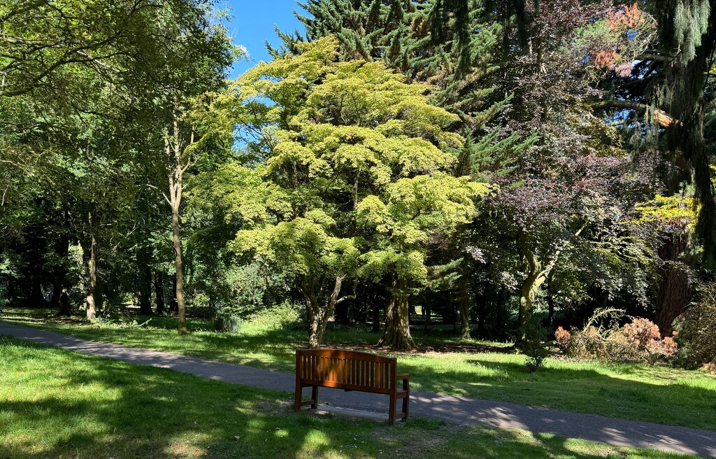 Park bench by alison59