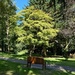 Park bench by alison59