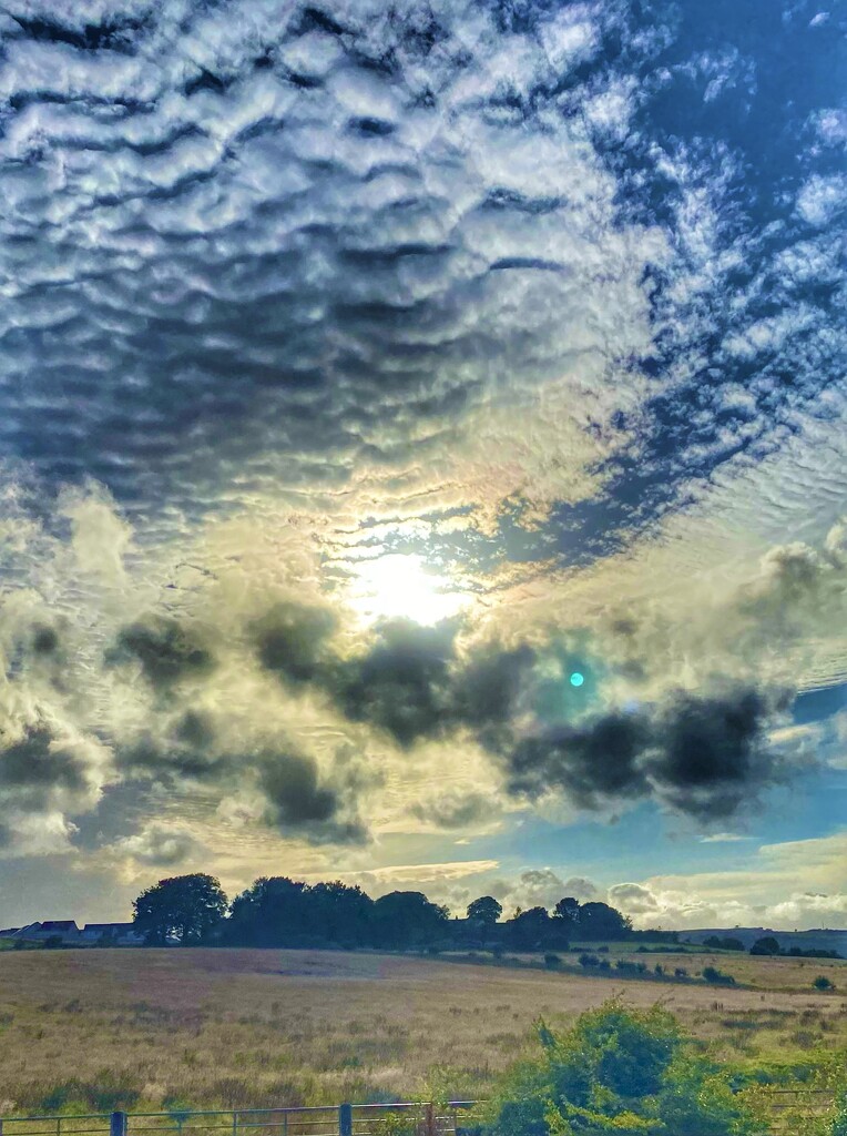 Cloud Shadows and Textures by cmf