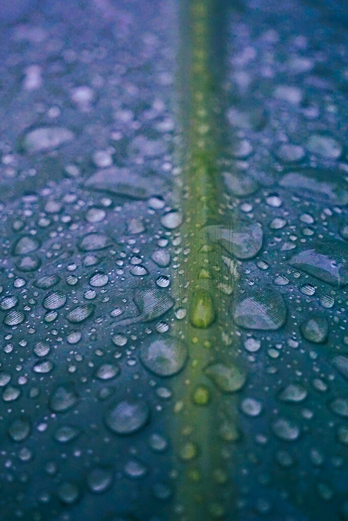 Drops by photohoot