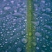 Drops by photohoot