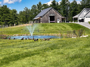 13th Aug 2024 - The canadian geese love this pond