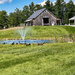 The canadian geese love this pond by joansmor