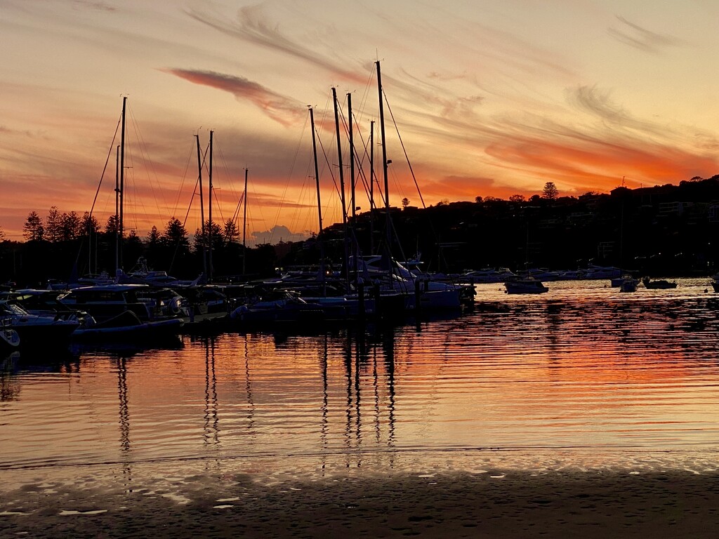 Clontarf Sydney sunset.  by johnfalconer