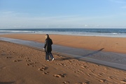 11th Aug 2024 - Avalon Beach, Sydney. 