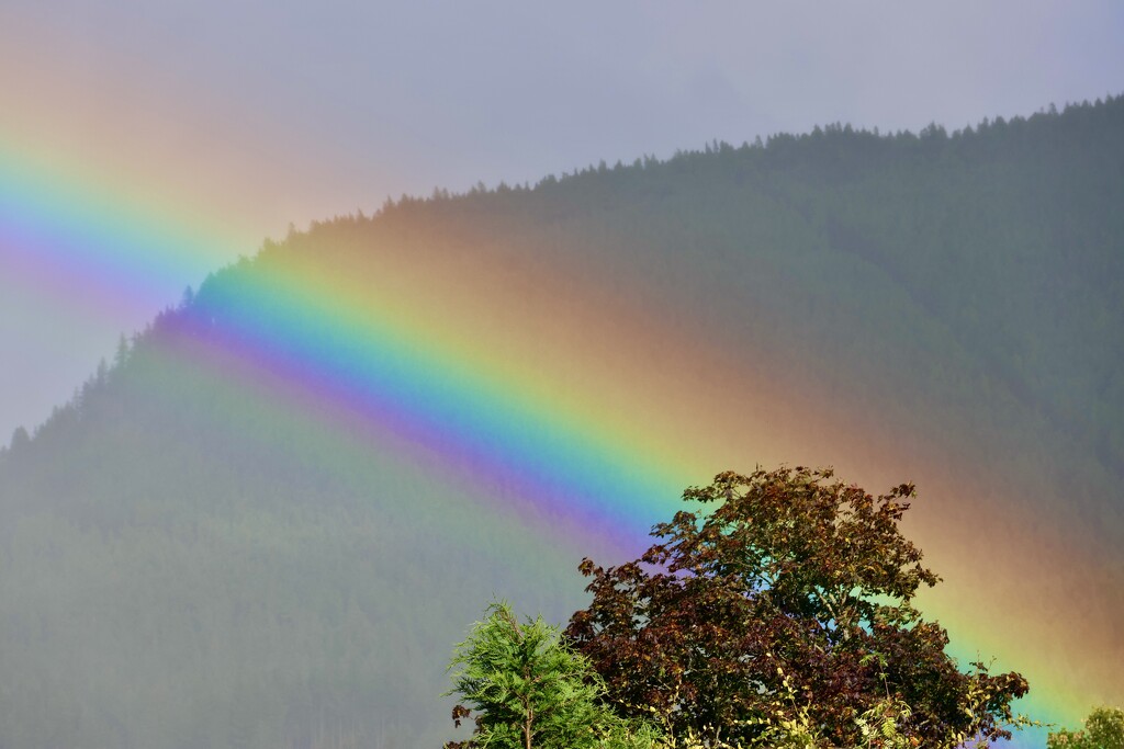 The Brightest of Rainbows by jamibann