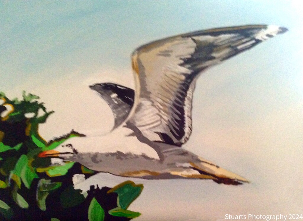 Seagull in flight (painting) by stuart46