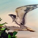 Seagull in flight (painting) by stuart46