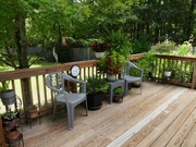 14th Aug 2024 - Plants on the deck...