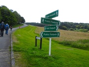 3rd Aug 2024 - Which Way? 