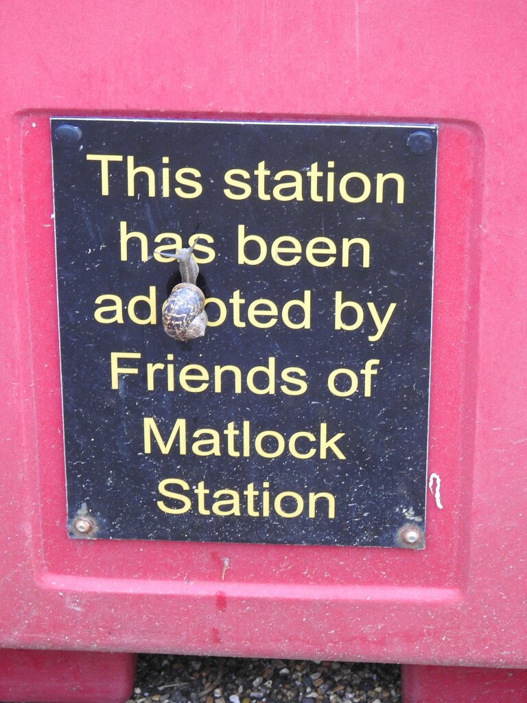 A Friend of Matlock Station? by oldjosh