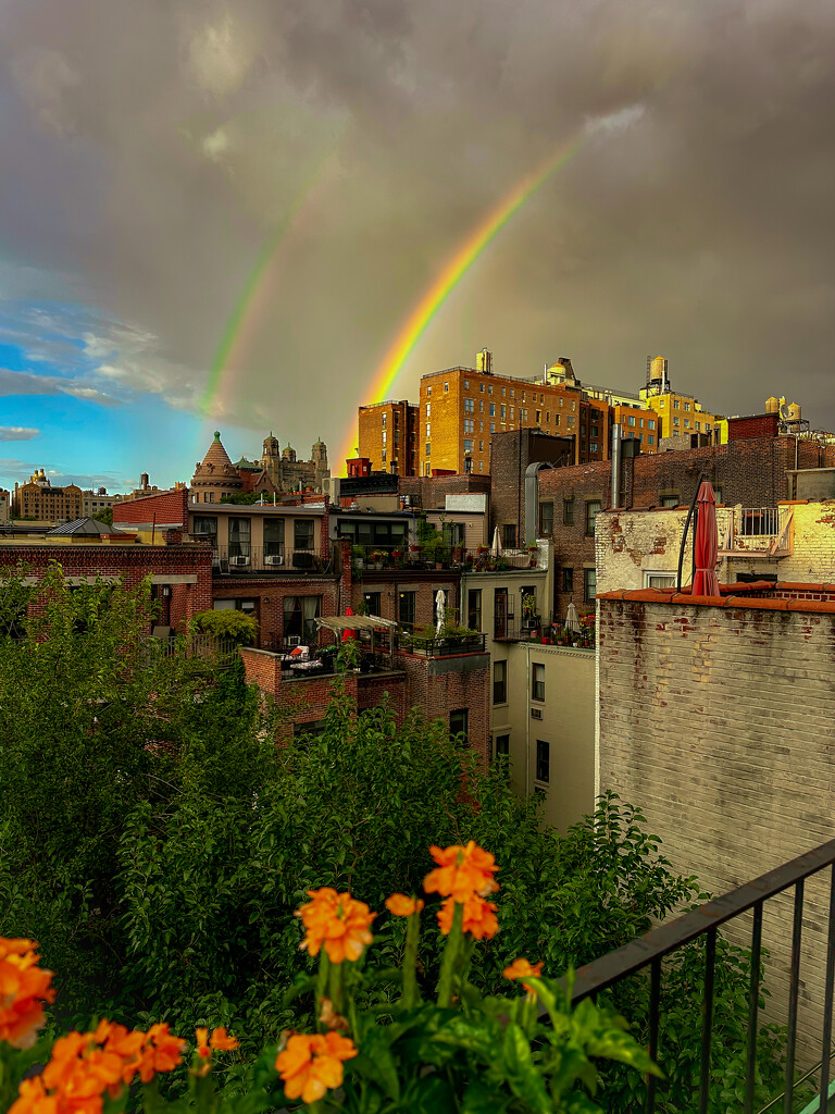 NYC Rainbows by jnewbio