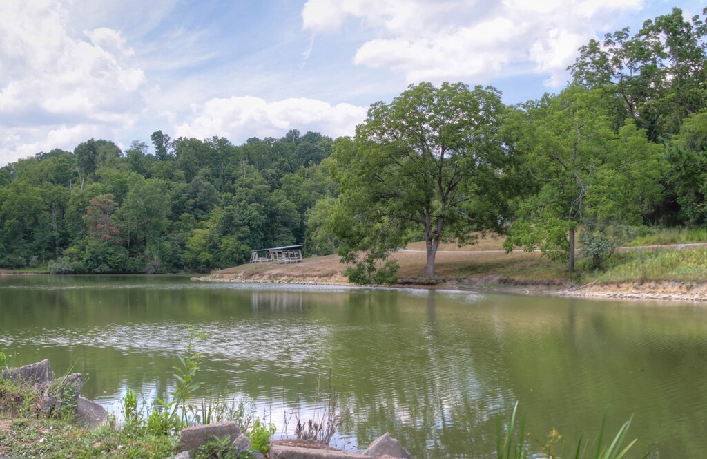 peacefulness by the lake by mittens