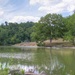 peacefulness by the lake by mittens