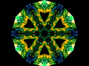 14th Aug 2024 - Kaleidoscope 