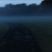 13 - Evening Low Lying Fog by marshwader