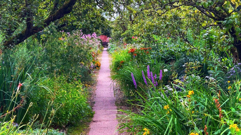 Garden Path by carole_sandford