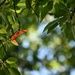 Autumn is Slowly Approaching  by alophoto