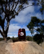 16th Aug 2024 - A wine barrel on a granite rock..