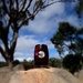 A wine barrel on a granite rock.. by robz