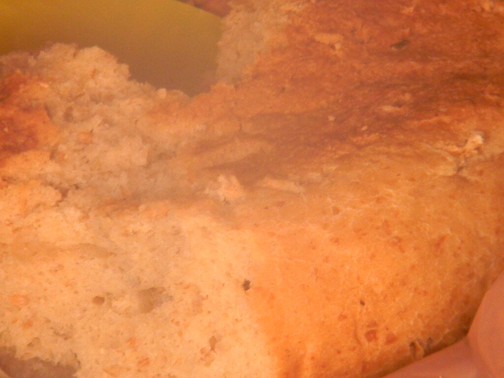 Bread in Dumpster Closeup  by sfeldphotos