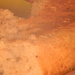 Bread in Dumpster Closeup  by sfeldphotos