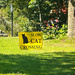 Cat Crossing by joansmor