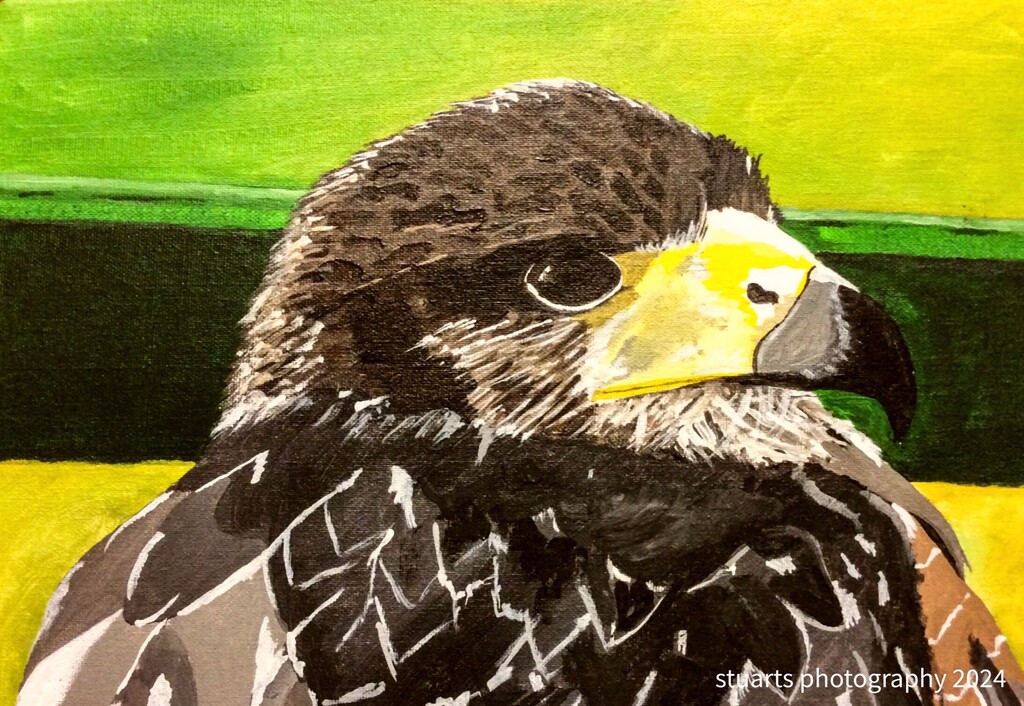 Buzzard (painting) by stuart46