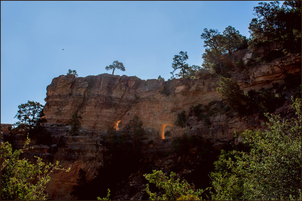 Beautiful morning on the Bright angel trail by 365projectorgchristine