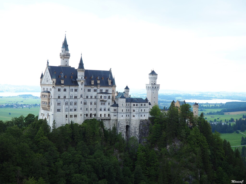 Neuschwanstein Castle by monicac