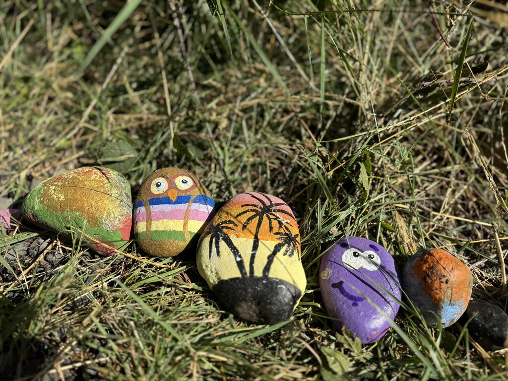 Painted Rocks  by kwind