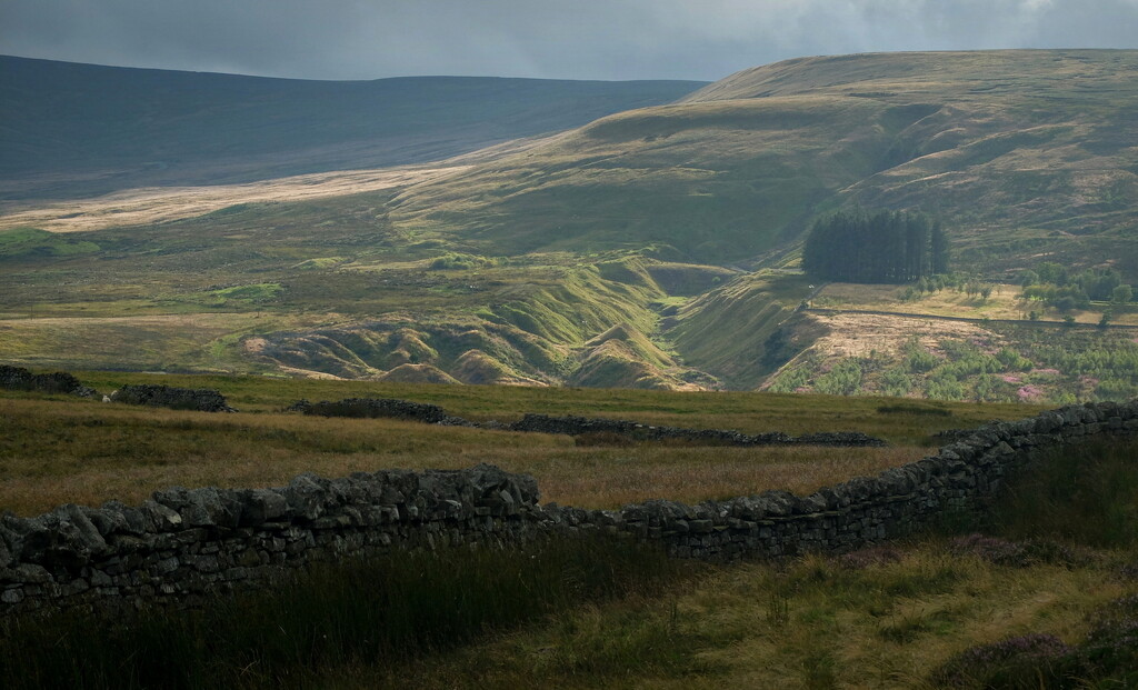 upper weardale by minsky365