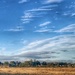 Geese flying on an evening walk. by happypat