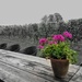 Colour on the Tasting Bench