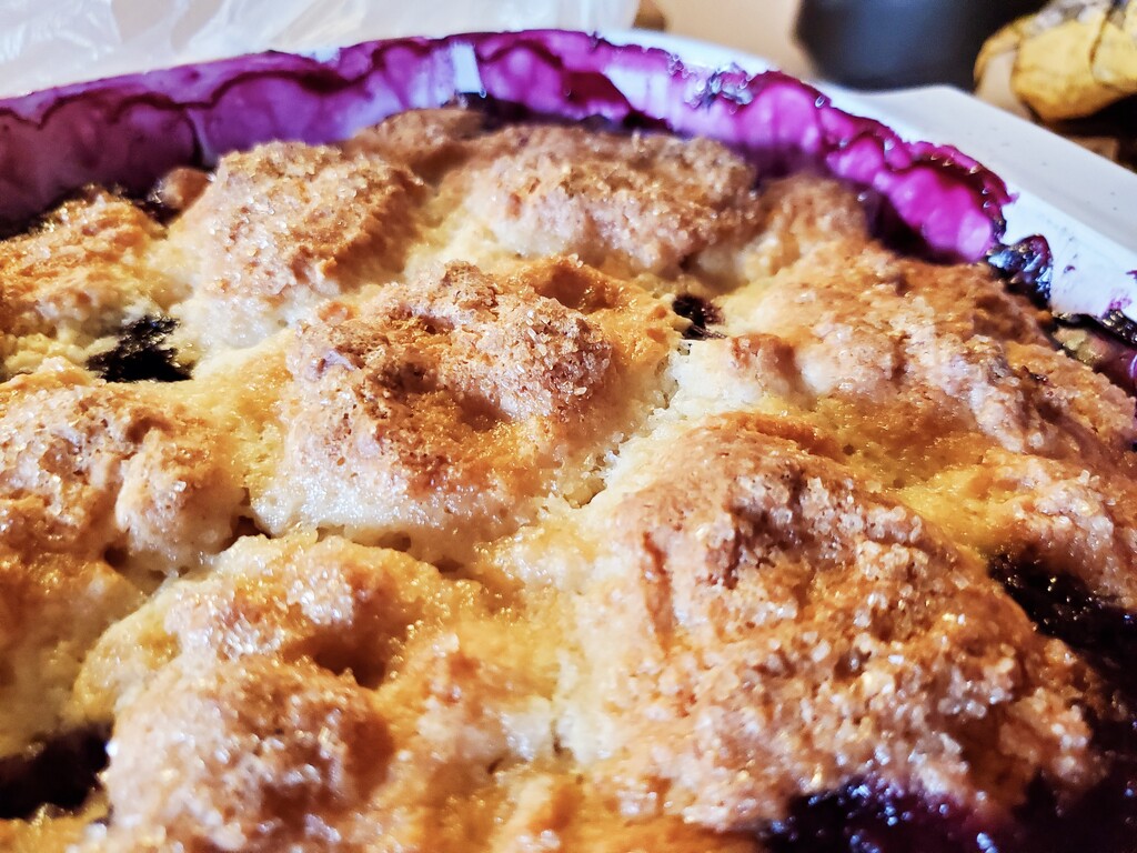 Blueberry cobbler by houser934