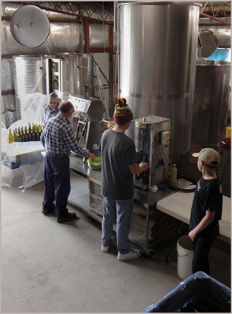 Bottling under way - at one of the smallest wineries. They make award winning wines! by robz