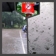 15th Aug 2024 - heavy rain