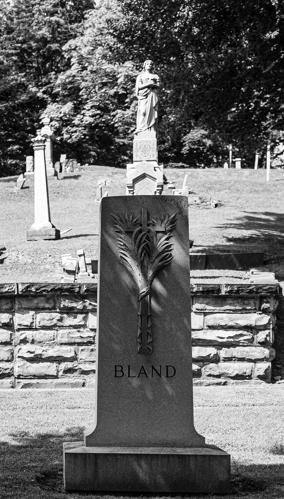 Bland by darchibald