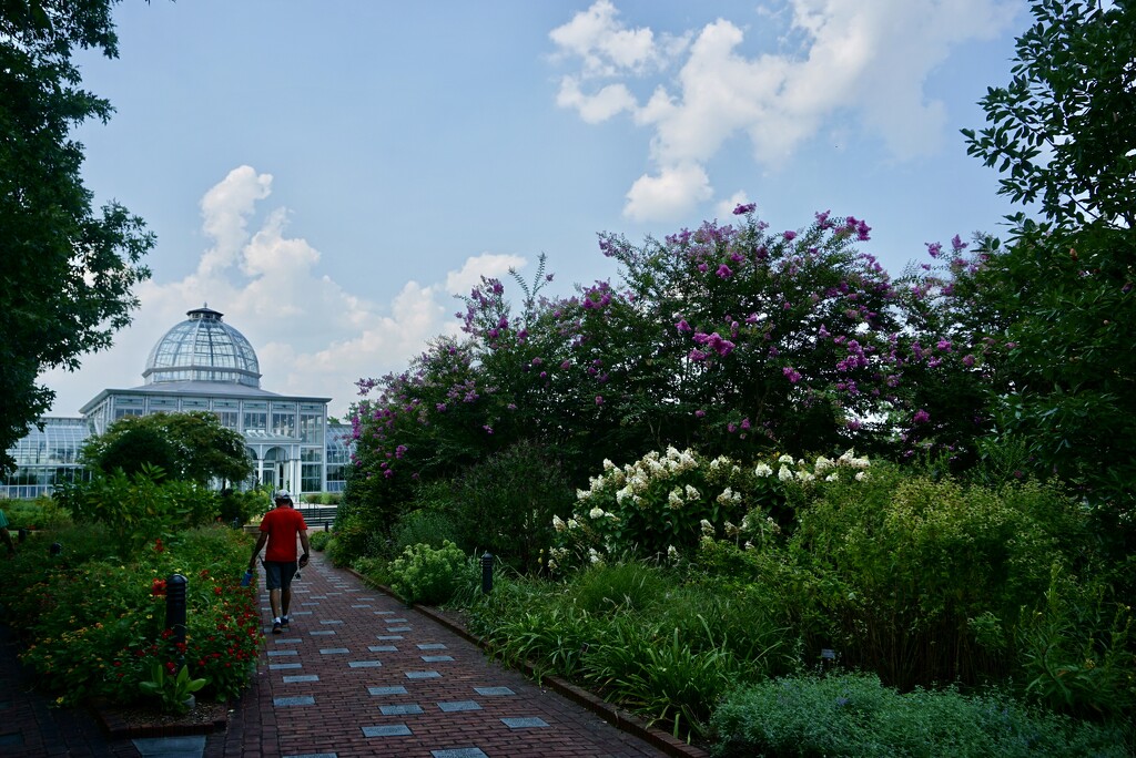 In the Conservatory with the flowers by allie912