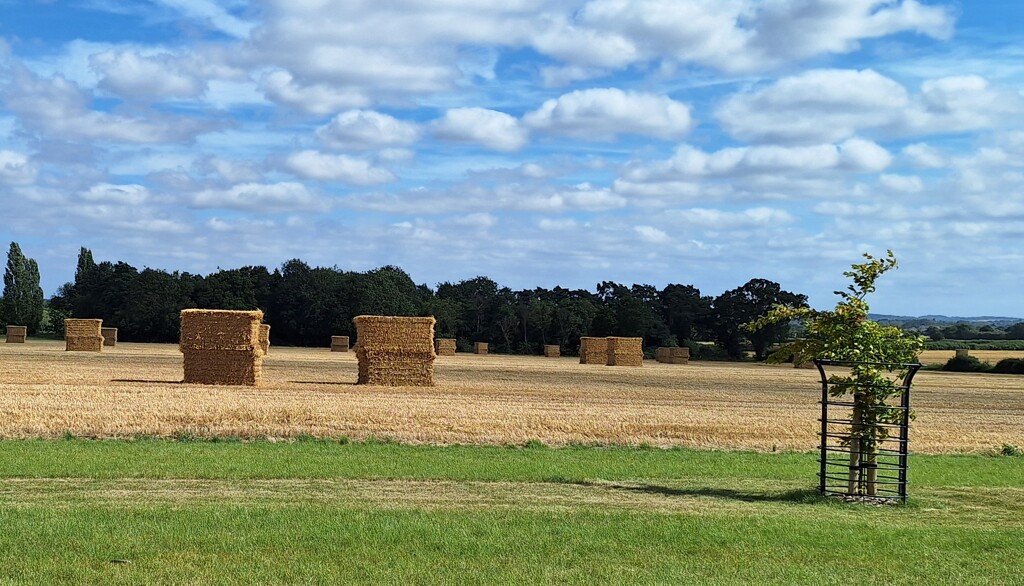 Make hay while  by tedswift