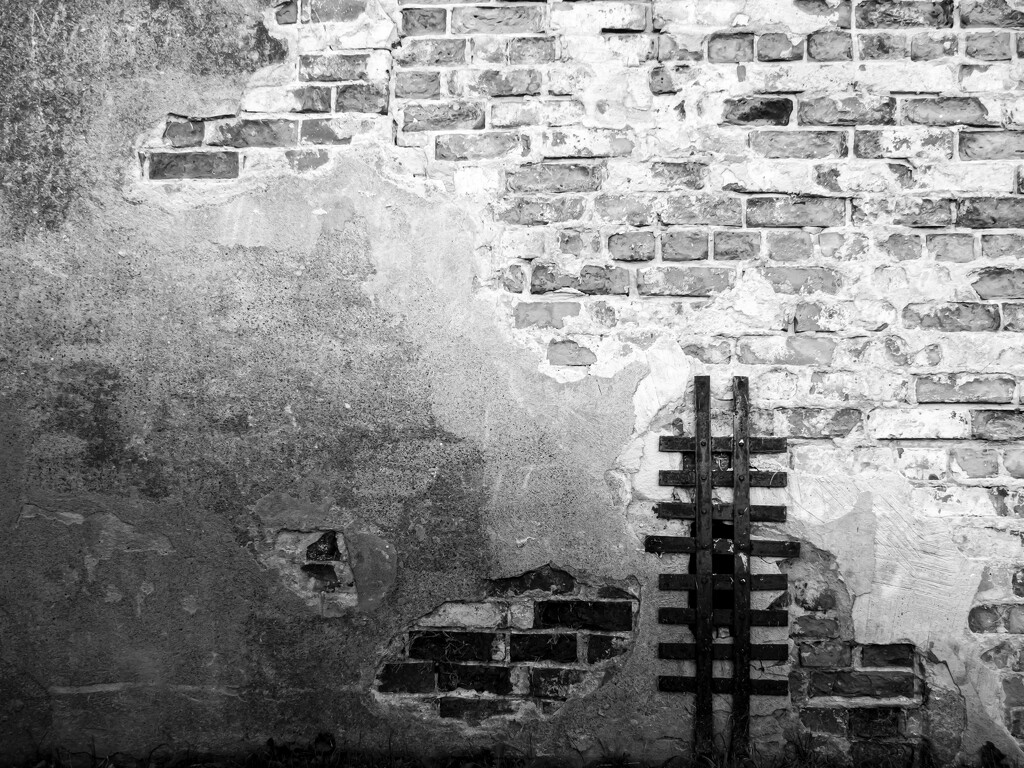 another brick in the wall by northy