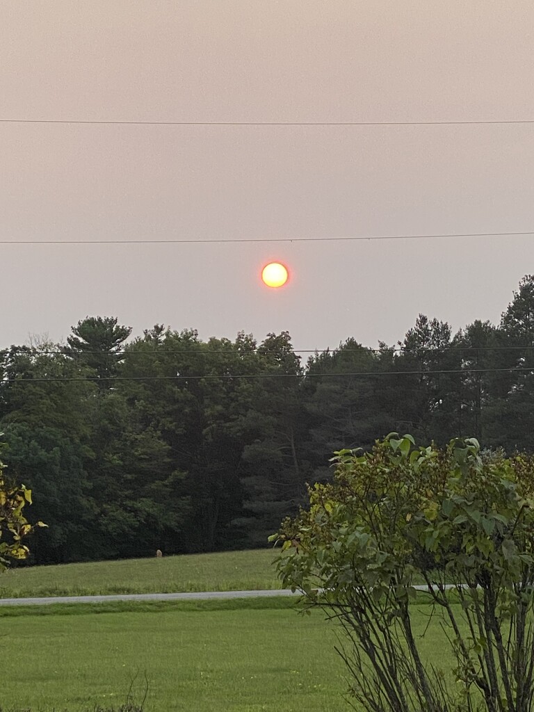 Sunset with Canadian Wildflower haze by mtb24