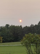 15th Aug 2024 - Sunset with Canadian Wildflower haze