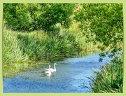 16th Aug 2024 - Canal Scene