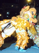 2nd Feb 2011 - Lion Dancer