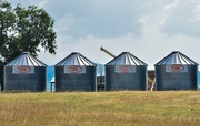 15th Aug 2024 - Grain Bins