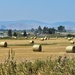 Field Of Hay Bales by bjywamer