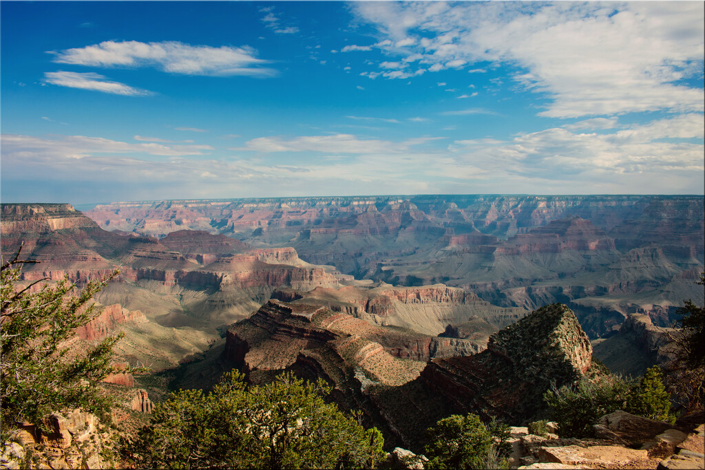 Full of awe by 365projectorgchristine