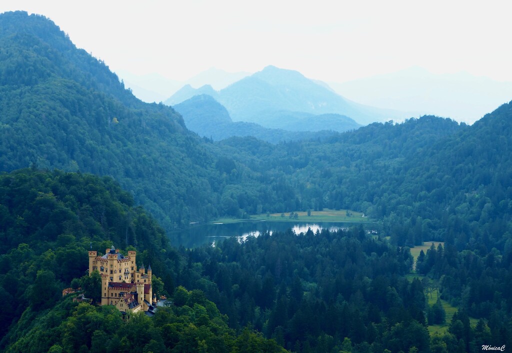 View from Neuchwanstein Castle by monicac