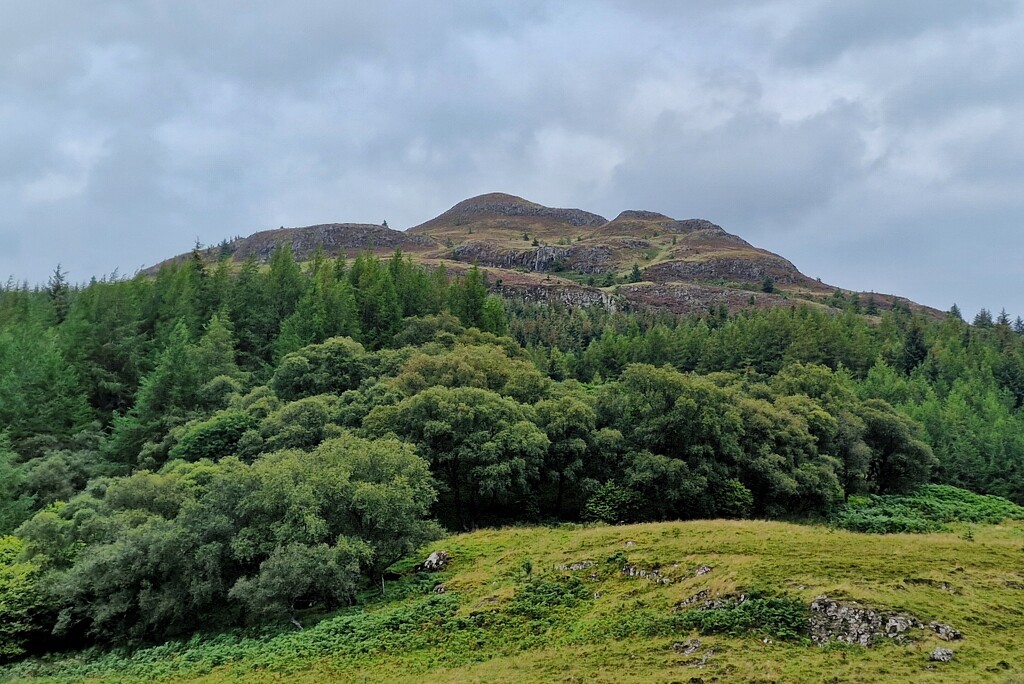 hill and trees by christophercox